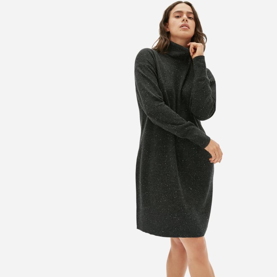 The Cashmere Turtleneck Dress. Image via Everlane.