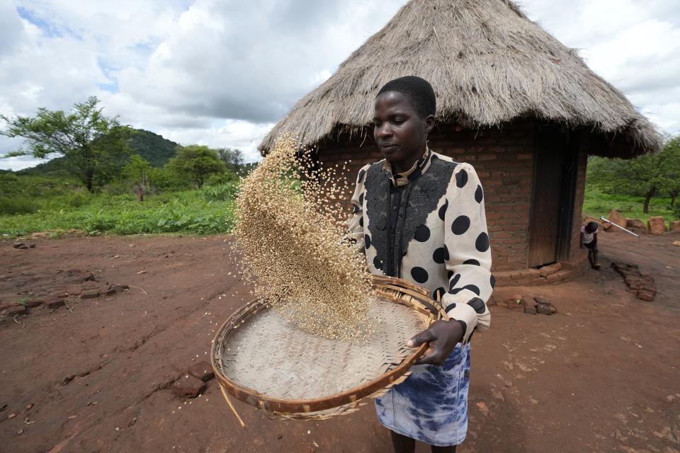 Maria Chagwena, a millet farmer, winnows millet on a bamboo mat in Zimbabwe's arid Rushinga district, northeast of the capital Harare, on Wednesday, Jan, 18, 2023. With concerns about war, drought and the environment raising new worries about food supplies, the U.N.'s Food and Agricultural Organization has christened 2023 as the “Year of Millets” — grains that have been cultivated in all corners of the globe for millennia but have been largely pushed aside. (AP Photo/Tsvangirayi Mukwazhi)