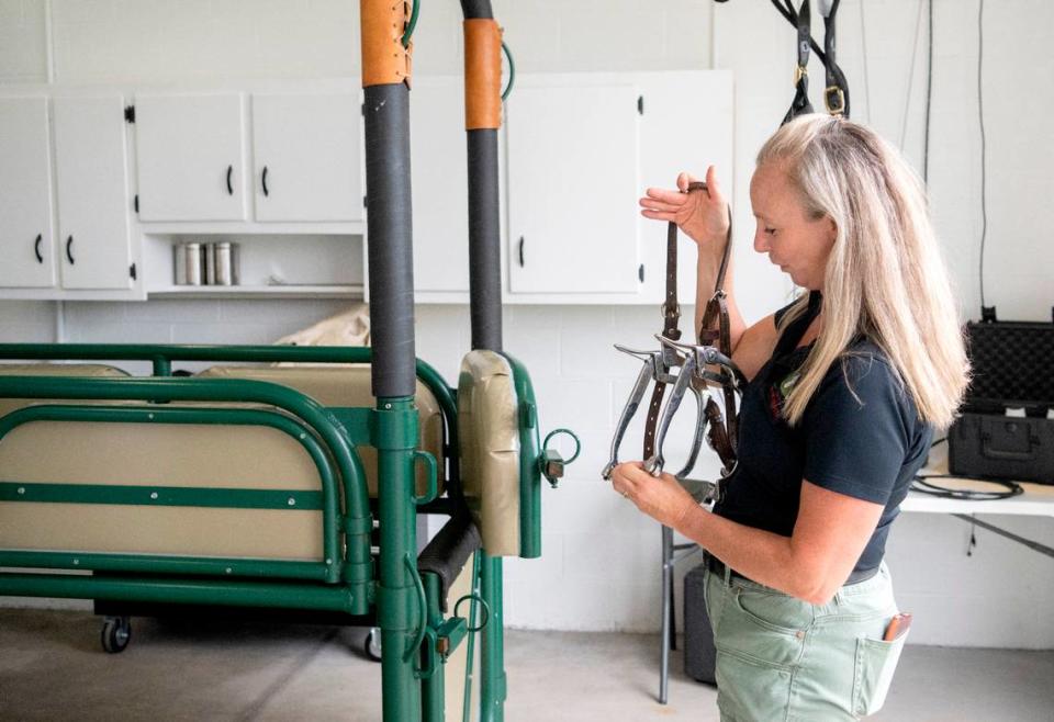 Stephanie Hegstrom gives tours of the new Abington Equine Hospital on Wednesday, Aug. 10, 2022.