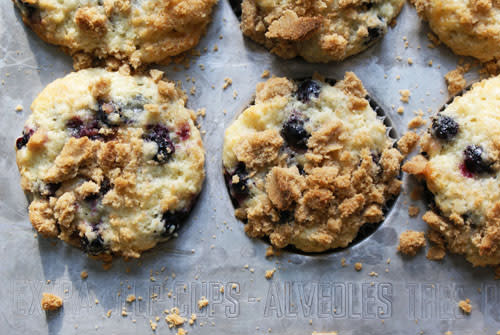 Ultimate Blueberry Muffins