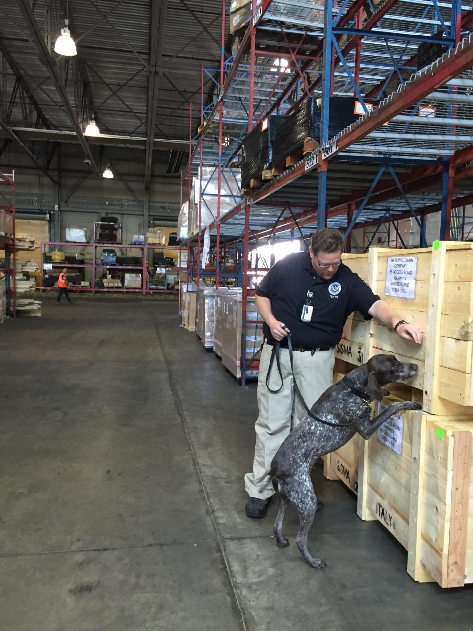 Francis "Frank" Boccabella III and his previous canine partner, Zmay, are seen inspecting cargo for explosives in 2015.