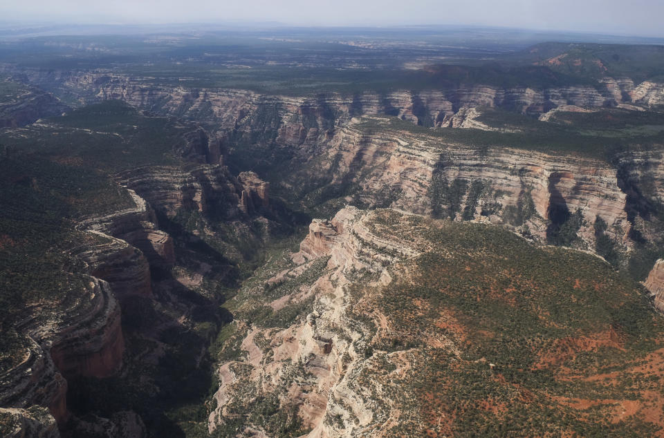 FILE - This May 8, 2017, file photo, shows Arch Canyon within Bears Ears National Monument in Utah. The selections for the 15-person Bears Ears National Monument panel posted online Friday, April 19, 2019 by the U.S. Bureau of Land Management reveal a few people who seem to strike a middle ground, but nobody who was an outspoken proponent of the monument created by President Barack Obama in December 2016. (Francisco Kjolseth/The Salt Lake Tribune via AP, File)