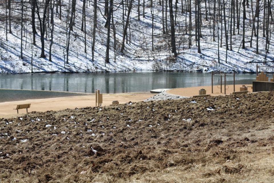 A grassy area torn up by feral hogs over winter at the Council Bluff Recreation Area in Mark Twain National Forest.