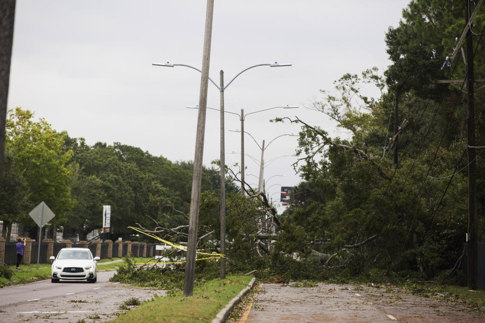 A tree falls on Metairie Road and takes out power lines in New Orleans on Saturday, Oct. 26, 2019, after a storm system called Tropical Storm Olga went through the area. (Sophia Germer/The Advocate via AP)