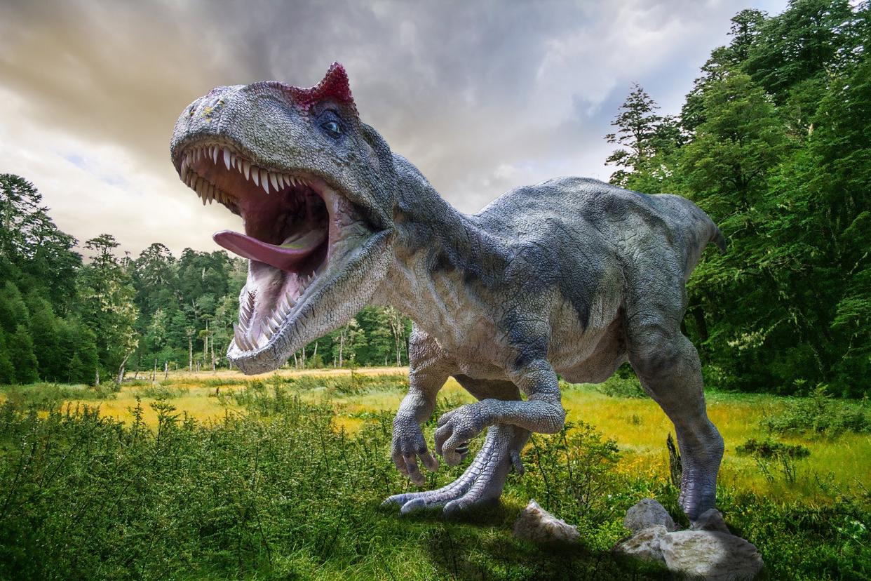 T-Rex in a Jurassic Park