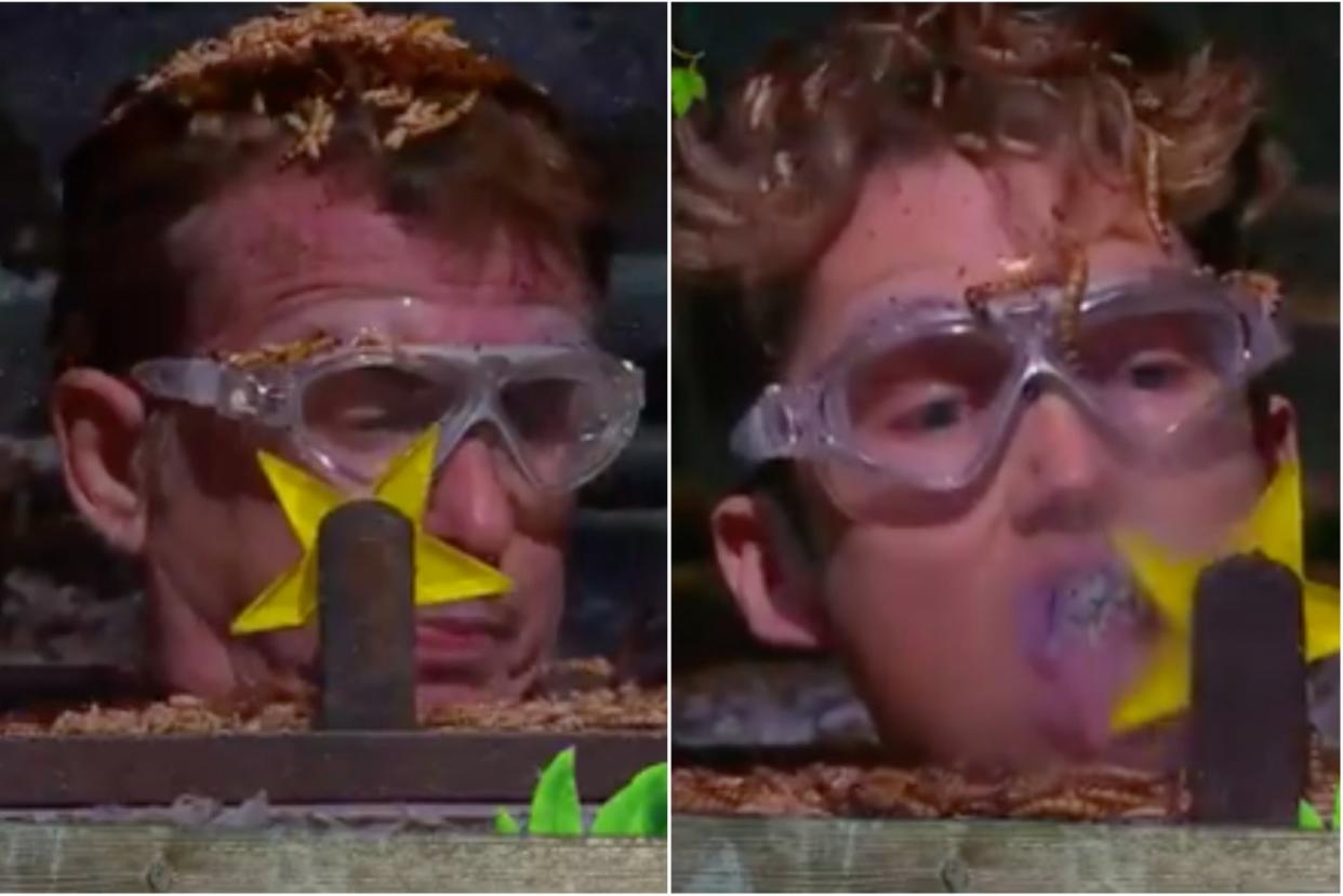 <p>Shane and AJ kept their cool during the stomach-churning challenge</p> (ITV/I’m a Celebrity... Get Me Out of Here!)
