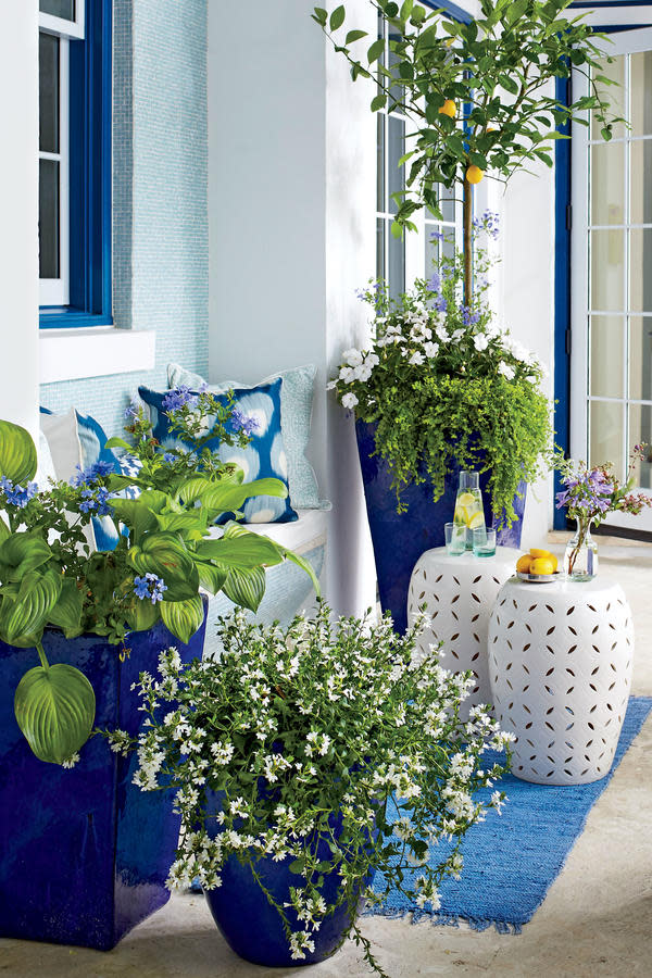 Brighten Up with Blue and White