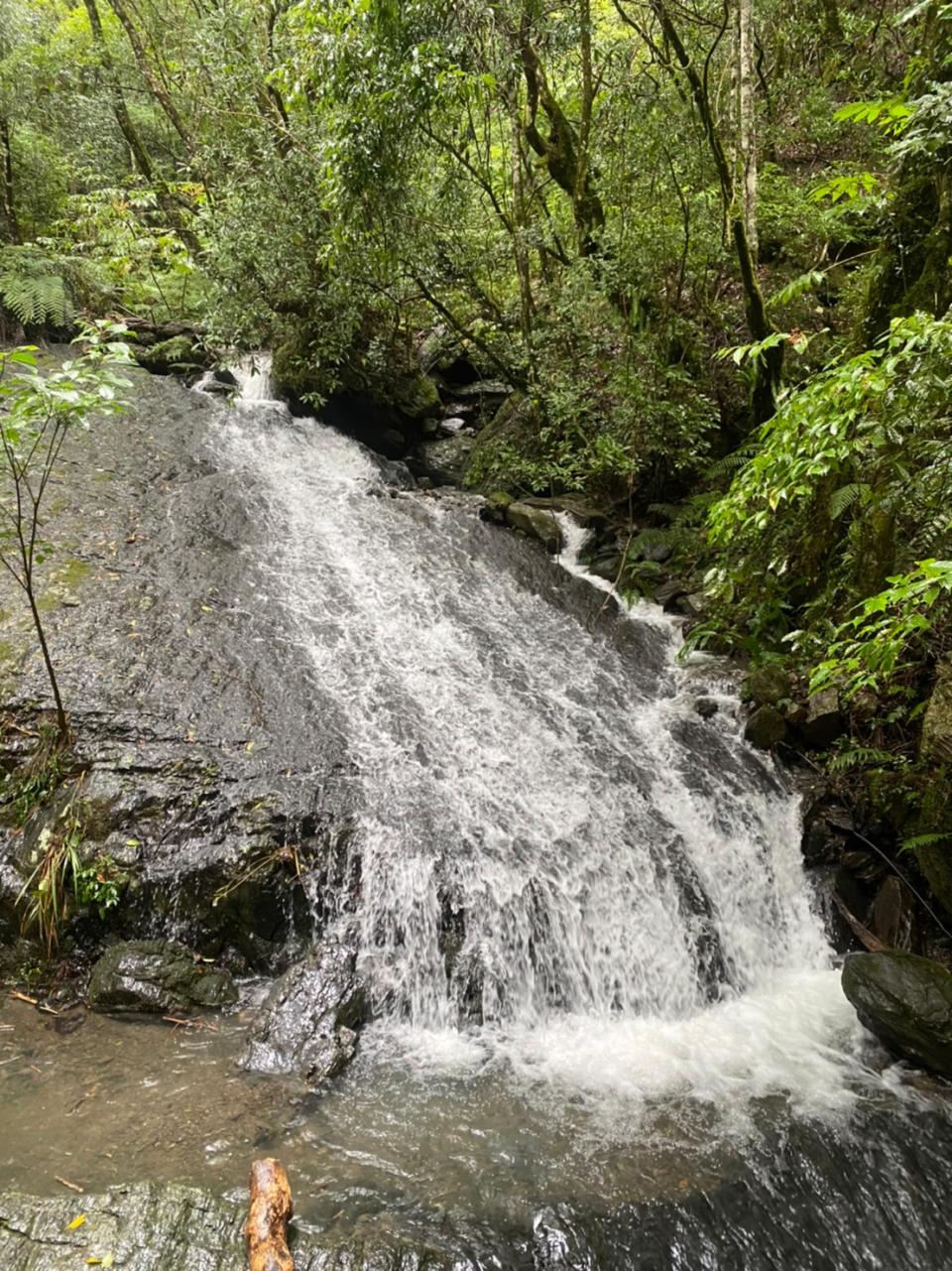 司立富瀑布位在巨木登山口前一百公尺處，高低落差約20公尺。