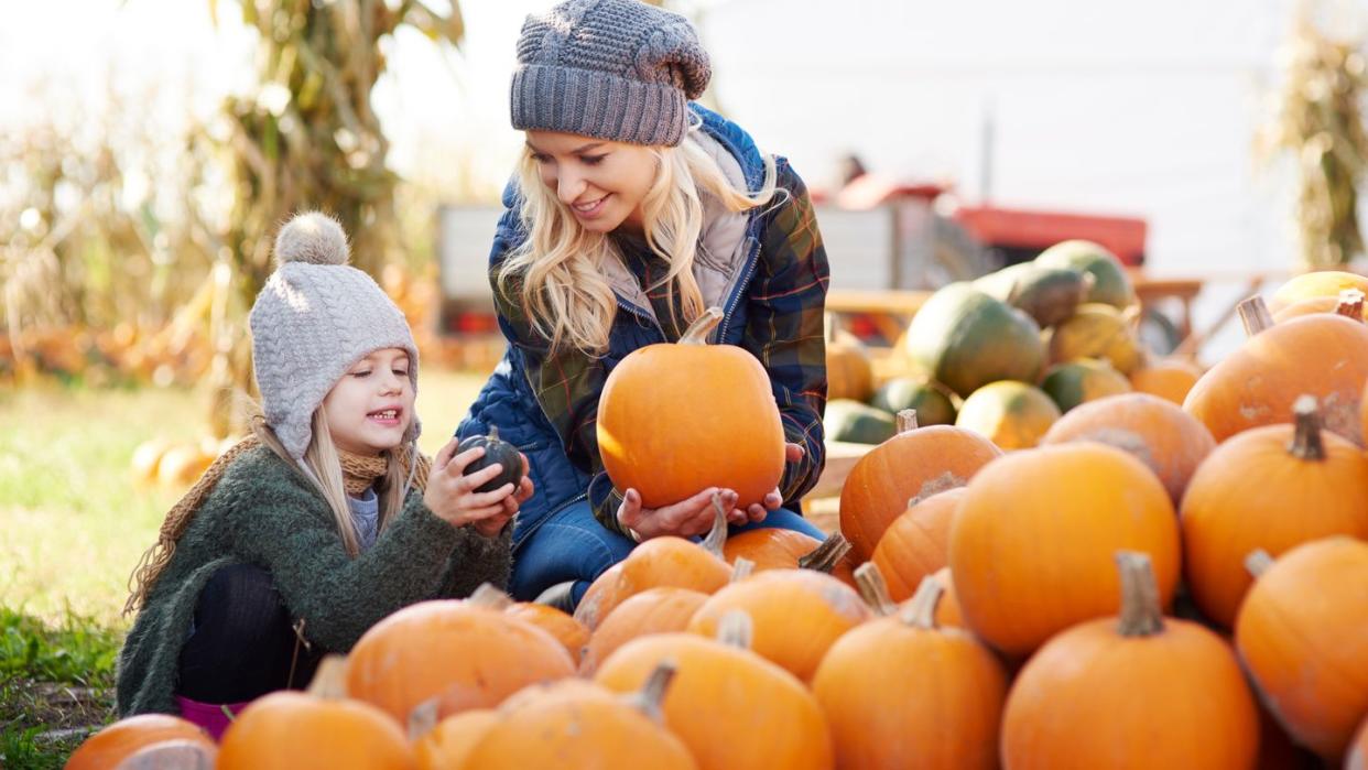 young woman and daughter selecting pumpkin from stack at pumpkin patch