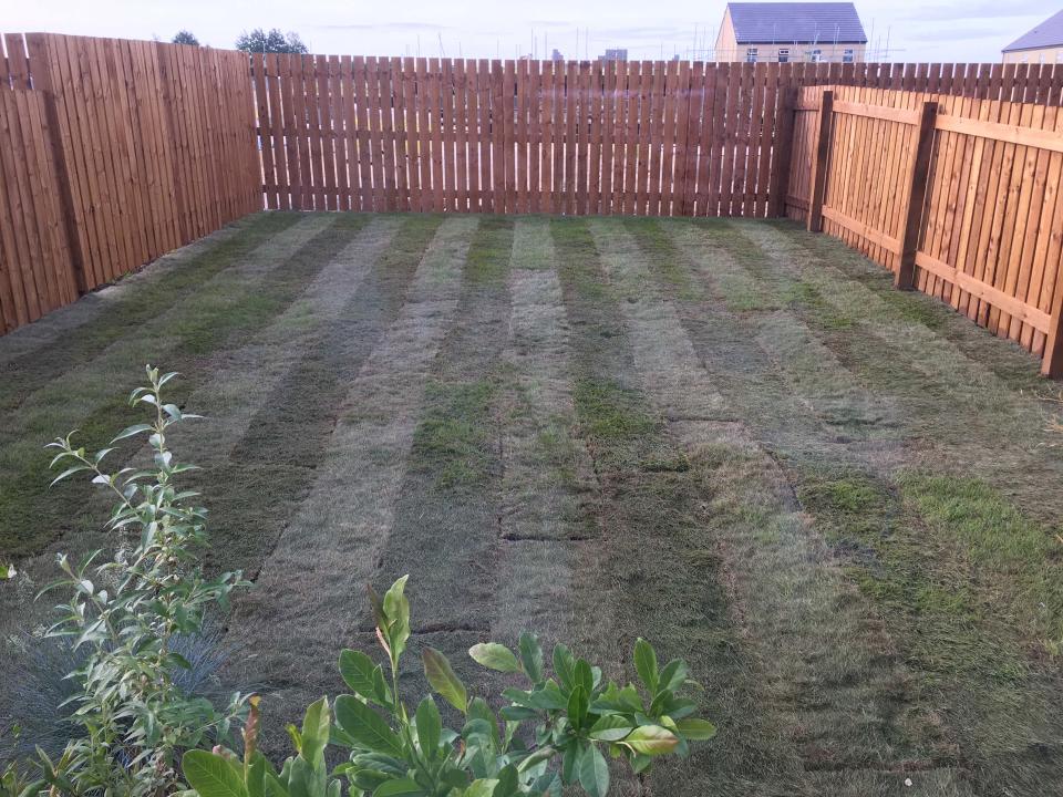 When the couple moved into their new build home in 2018, their garden consisted of nothing more than dried out turf. Photo: Caters
