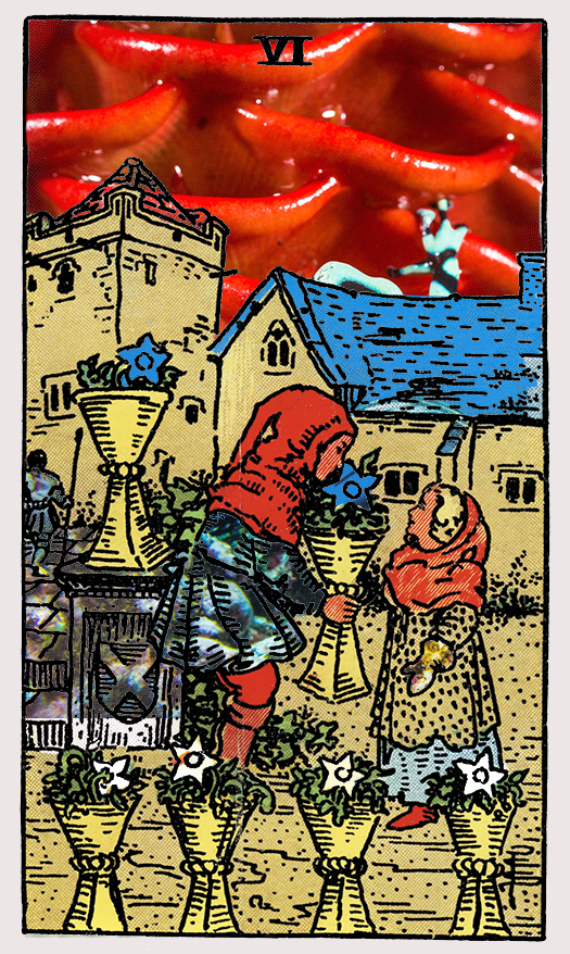 six of cups