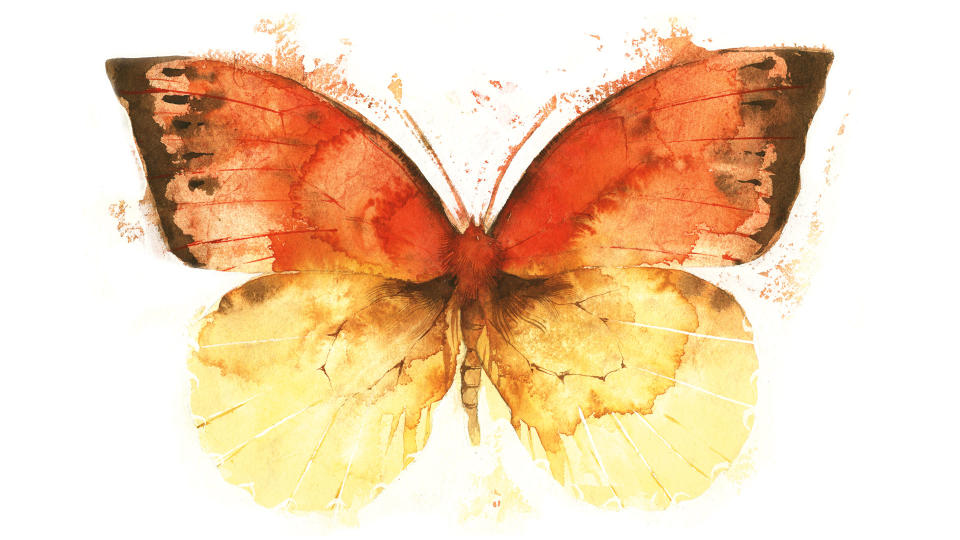 butterfly painting