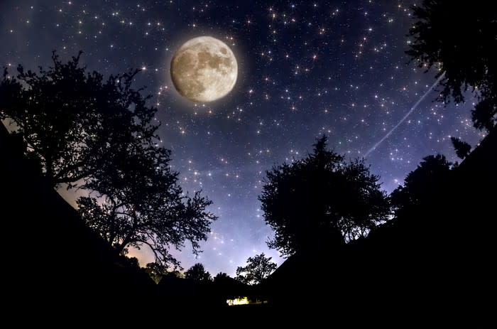 Moon visible in a starry sky over trees