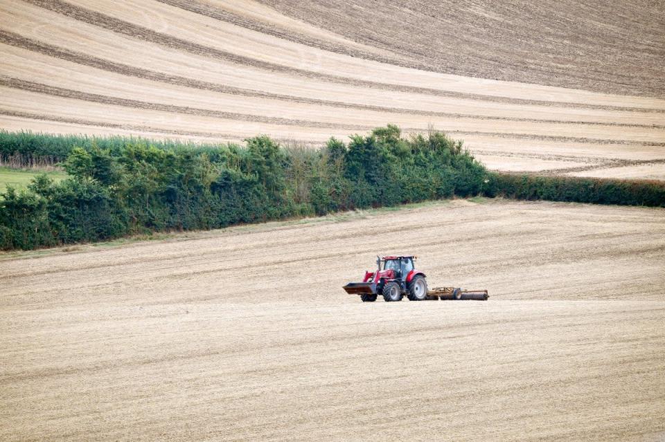 Paying farmers on low-yield land to restore nature would boost their income, cut carbon and help nature thrive, a think tank says (Ben Birchall/PA) (PA Archive)
