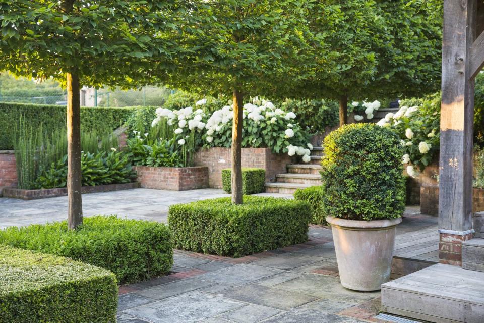 jo thompson landscape design