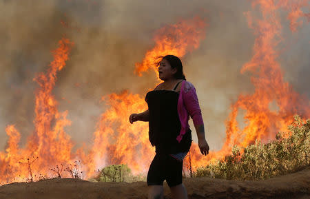 A resident looks at a wildfire in Vina del Mar. Forest fires are a regular feature of Chile's hot, arid summers, but a nearly decade-long drought combined with historically high temperatures have created tinder-like conditions in the nation's central regions. REUTERS/Rodrigo Garrido