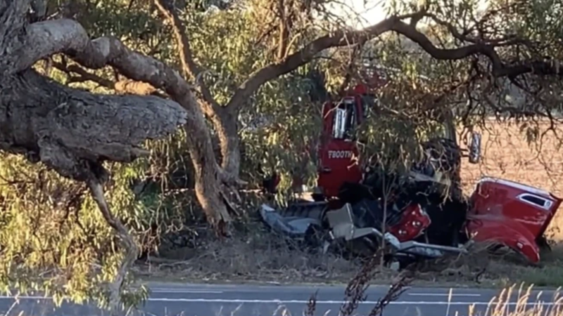 澳洲發生一起因超速駕駛導致的嚴重死亡車禍，共造成5人死亡，其中3人為台灣人。（翻攝自Sky News Australia）