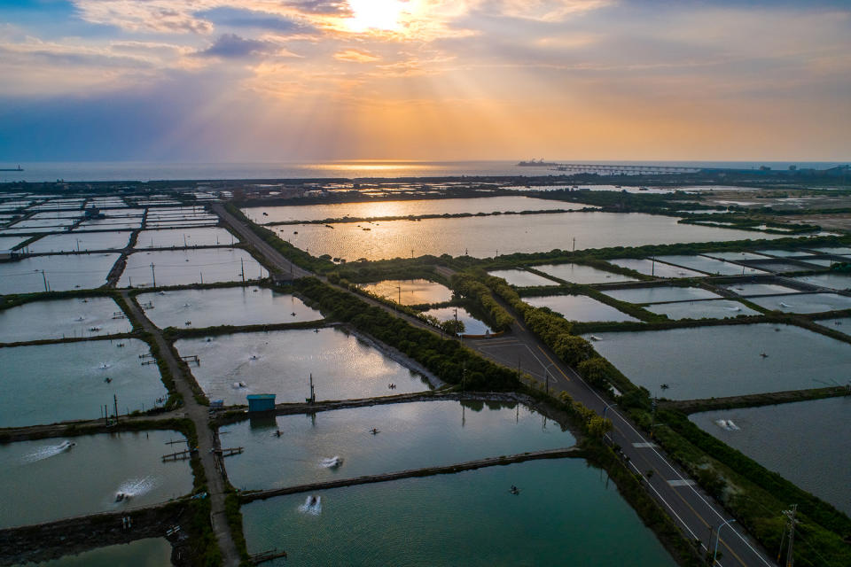 風光明媚的永安濕地。   圖：高雄市觀光局/提供