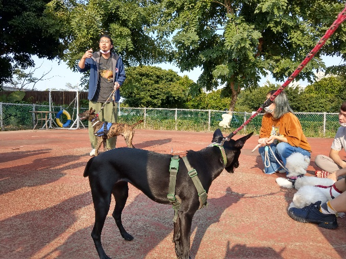 新北市動保處邀請台北市陪伴犬協會3月起，每週日在板橋動物生命教育園區開設毛寶貝訓練課程，免費的7堂課將有效解決飼主惱人的吠叫、撲咬、亂大小便等犬隻行為問題。   圖：新北市動保處提供