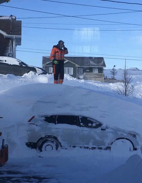 Newfoundland Snow