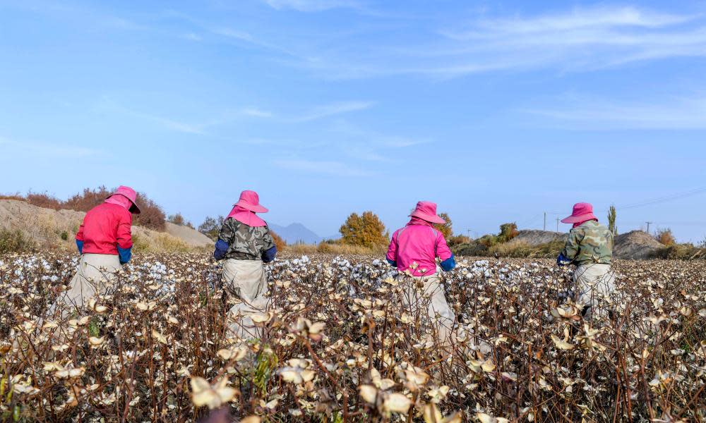 <span>Photograph: Xinhua/Alamy</span>