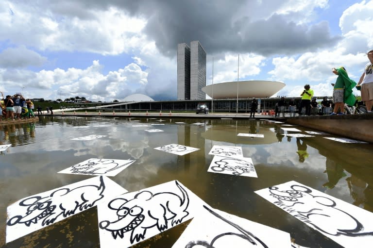 Demonstrators place placards depicting rats on a fountain in front of the National Congress in Brasilia during a protest against corruption on December 4, 2016