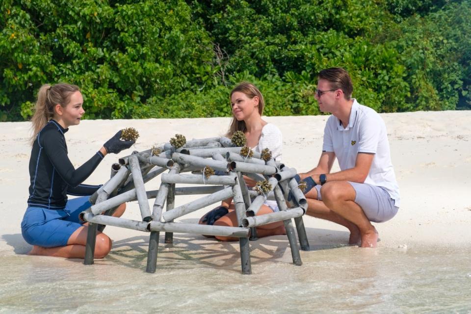 Your participation in the programmes will contribute to the ongoing research required to conserve and care for the delicate ecosystem. (Photo: Marriott)