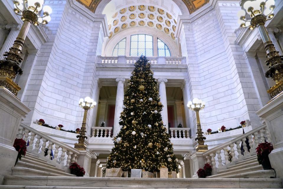 The State House Christmas tree.