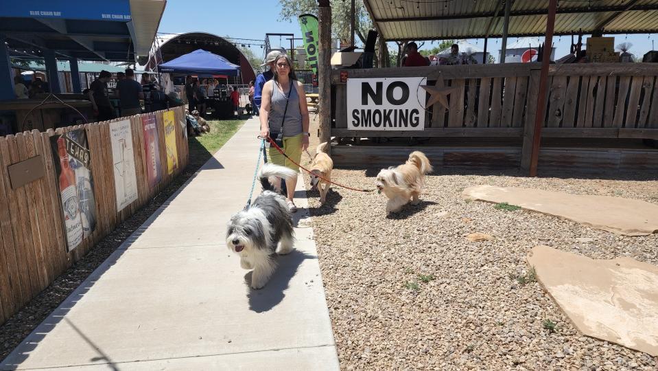 Dog owners and their furry friends were able to get out for a day of fun Sunday at Mission Muttfest held at Starlight Ranch.