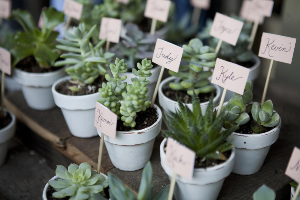 More Instagrammable place cards