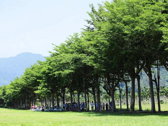 鹿野龍田自行車道（圖片來源：花東縱谷國家風景區）