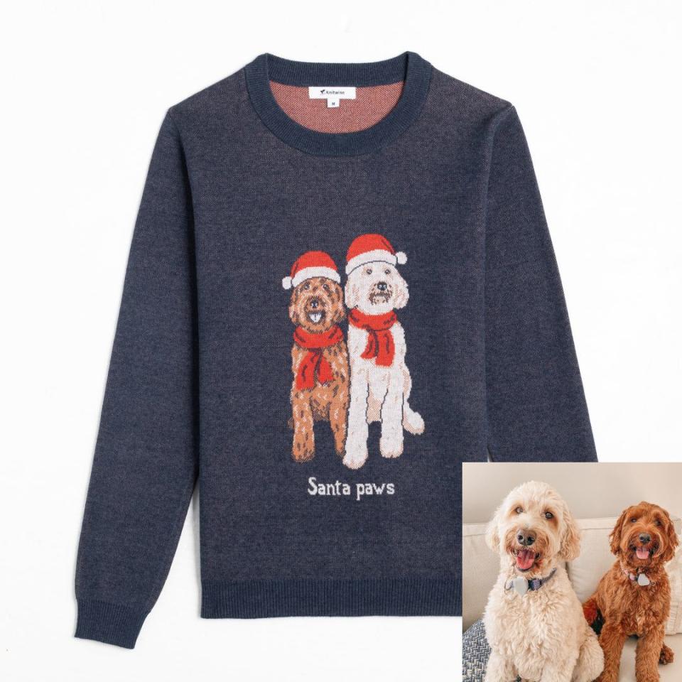 Holiday Special Pet Custom Sweater