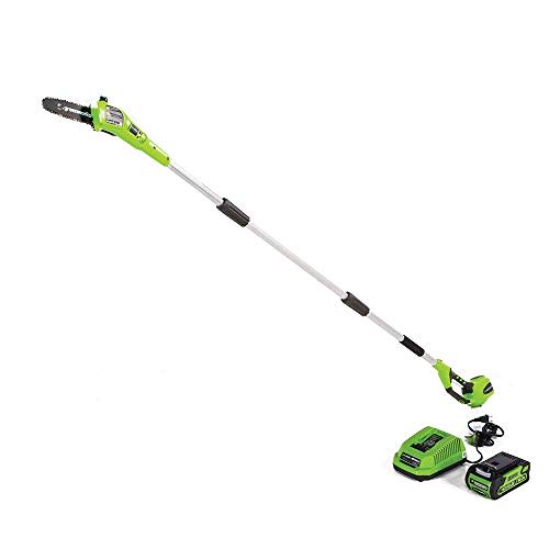 Greenworks 40V 8-Inch Cordless Polesaw, 2.0Ah Battery and Charger Included 20672