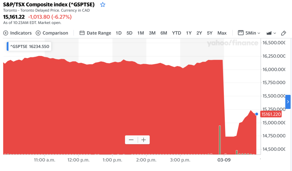 The S&P/TSX Composite index fell as much as 10 per cent on Monday. 