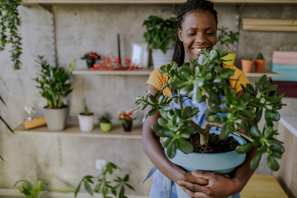 Brighten up your stuffy space with these air-cleaning houseplants. (Credit: Getty)