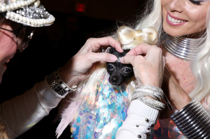 A woman fixes a sparkling decoration on a dog at the 17th annual New York Pet Fashion Show