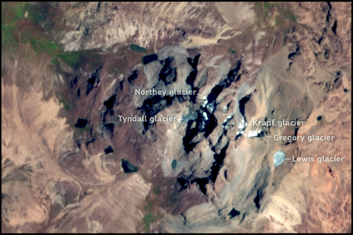 A satellite image of glaciers atop Mount Kenya. Copernicus Sentinel-2 Imagery / European Space Agency