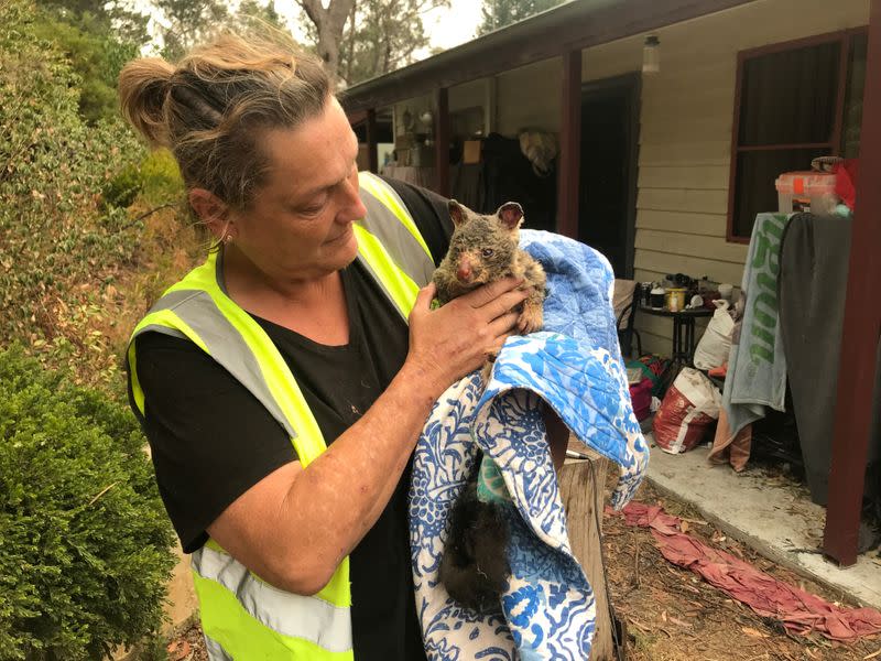 WIRES volunteer and carer Tracy Burgess holds a severely burnt brushtail possum rescued from fires near Australia’s Blue Mountains