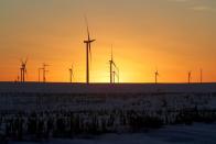 FILE PHOTO: A wind farm in Iowa is pictured in 2020