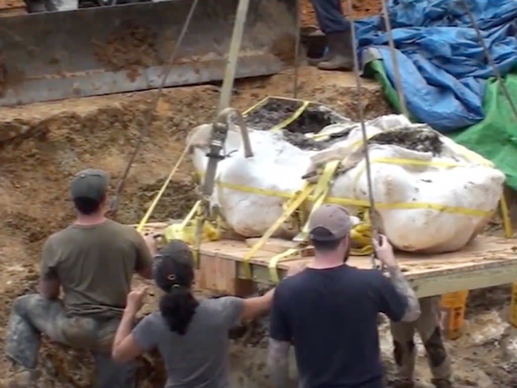 The remains of adult and juvenile dinosaurs were discovered in Missouri  (Fox2 News)