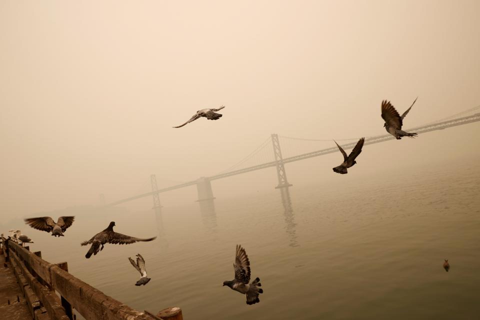 The San Francisco-Oakland Bay Bridge is seen under a smoke-filled sky due to various California wildfires earlier this month. (Stephen Lam / Reuters)