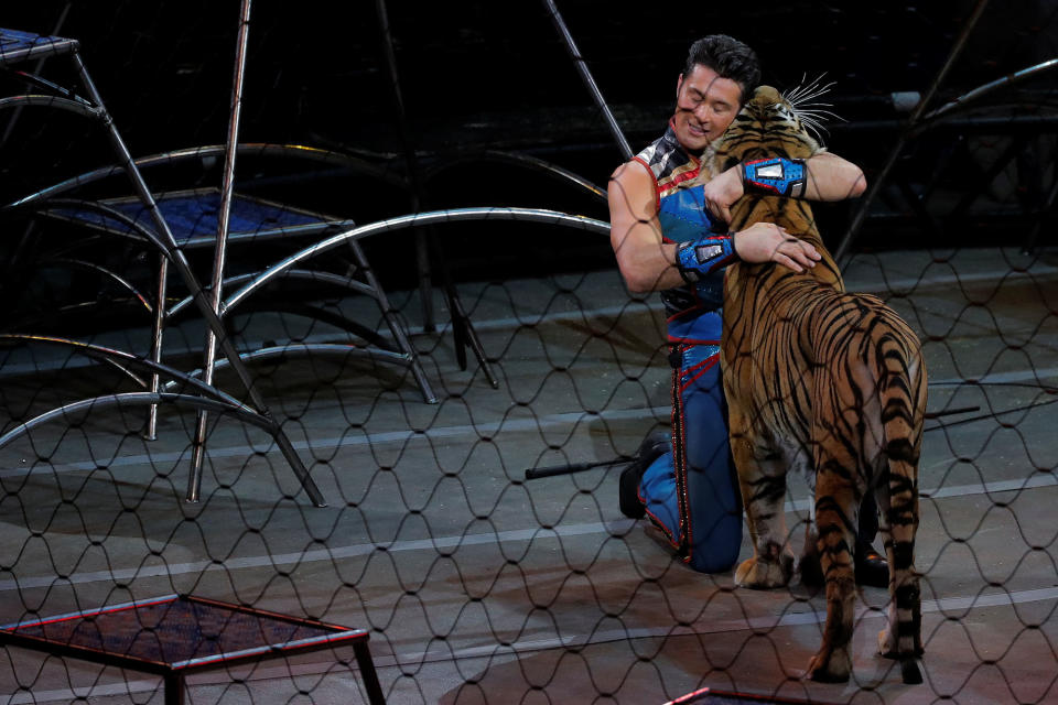 <p>Big cat trainer Alexander Lacey performs during the last show of the Ringling Bros. and Barnum & Bailey circus at Nassau Coliseum in Uniondale, New York, May 21, 2017. (Lucas Jackson /Reuters) </p>