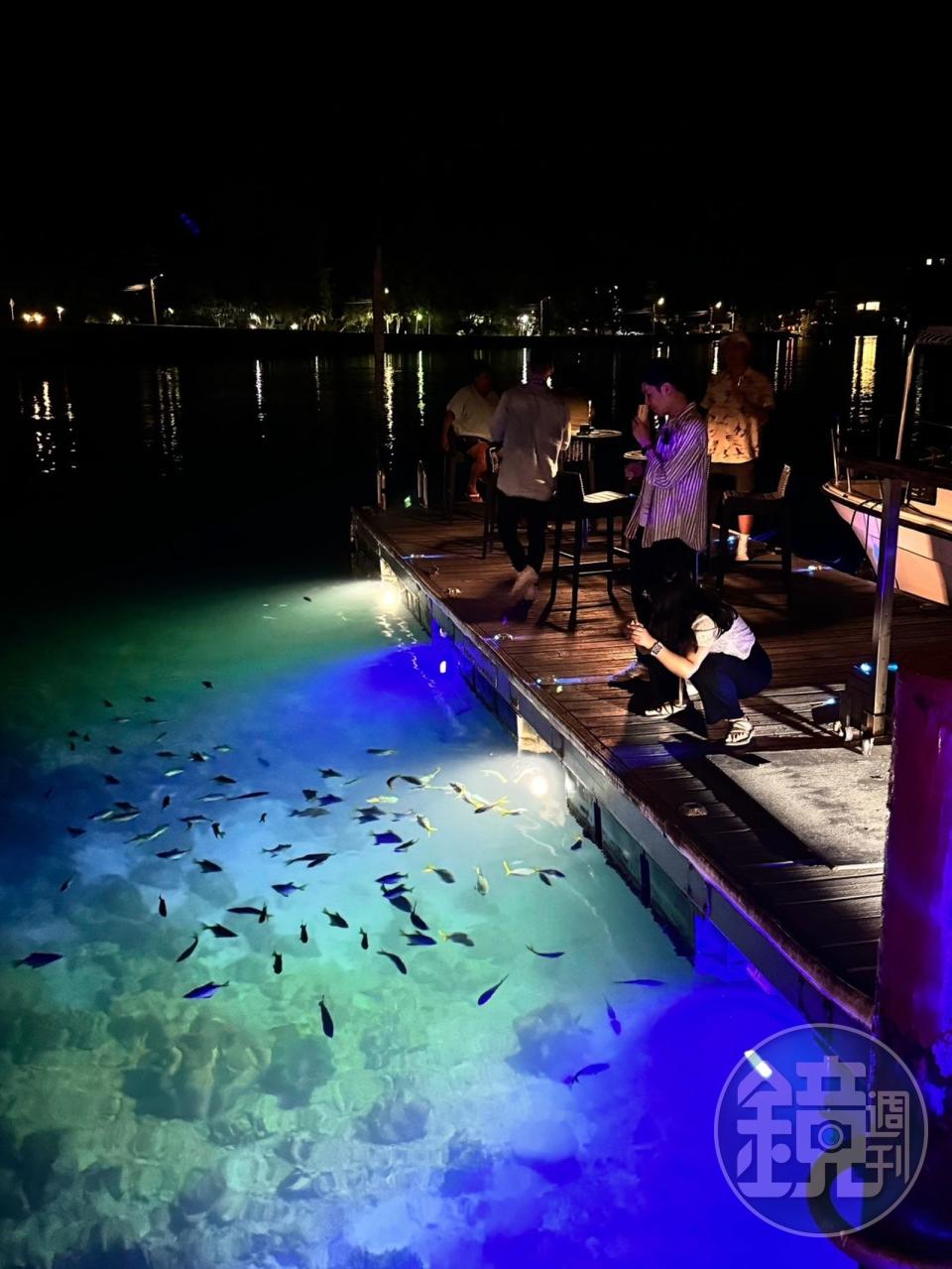 「Elilai Seaside Dining」戶外座位區的甲板下，透過光照除了熱鬧的魚群，還有清澈乾淨的海水。