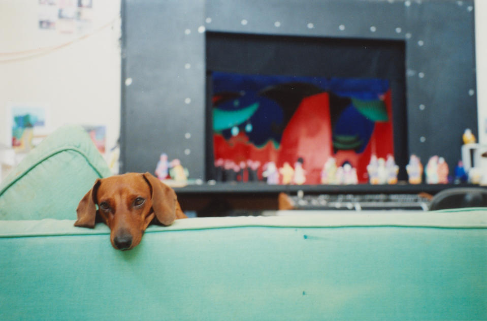 David Hockney’s dachshund, with a set design in the background, c. 1991.