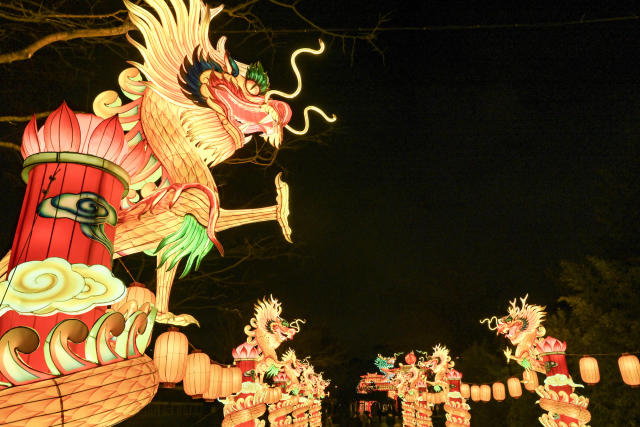 Chinese garden lantern sale festival