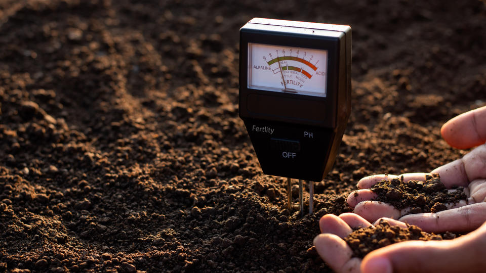 A soil test being used to check the conditions of the soil