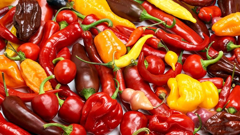 Variety of chile peppers