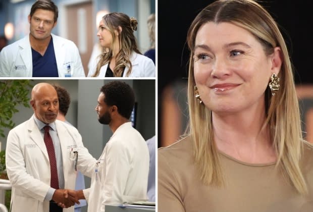 Grey's Anatomy: 5 Things We Want to See in Season 20 (and 1 Thing