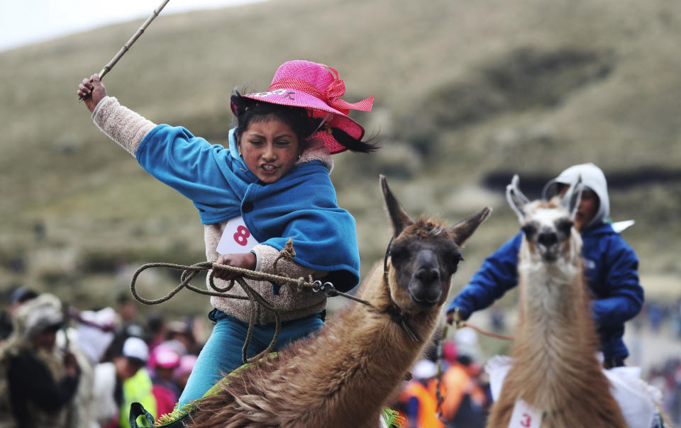 Milena Jami whips her llama to get first place in the llama races age 7-8 years in Llanganates national park, Ecuador, on Feb. 8, 2020. Wooly llamas, an animal emblematic of the Andean mountains in South America, become the star for a day each year, when Ecuadoreans gather in Los Llanganates for the races. (AP Photo/Dolores Ochoa)