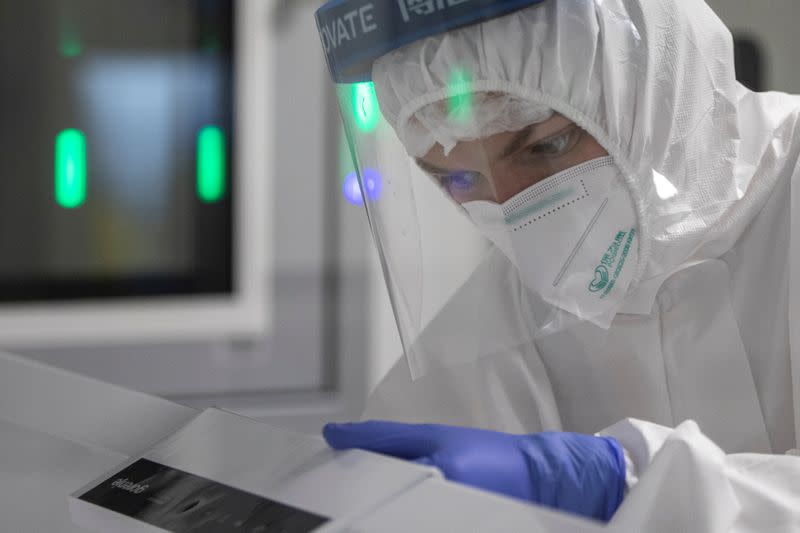 FILE PHOTO: A scientist works with samples taken for testing for the coronavirus disease (COVID-19) in Belgrade